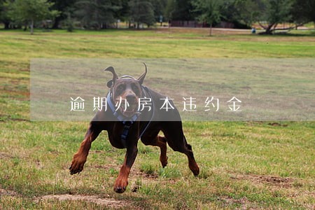 逾期办房本违约金 逾期办房本违约金