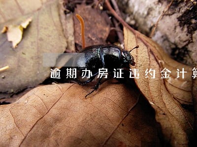 逾期办房证违约金计算 逾期办房证违约金计算