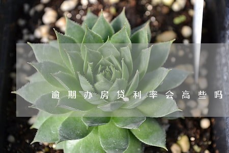 逾期办房贷利率会高些吗 逾期办房贷利率会高些吗