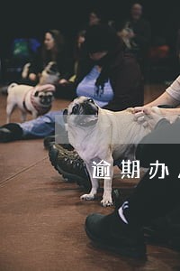 逾期办房贷找担保公司 逾期办房贷找担保公司