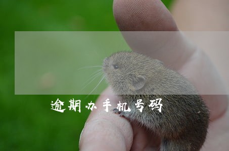 逾期办手机号码 逾期办手机号码