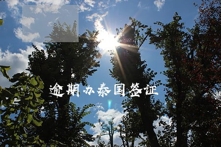 逾期办泰国签证 逾期办泰国签证