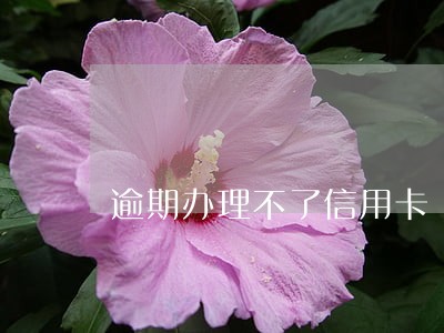 逾期办理不了信用卡
