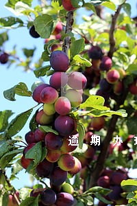 逾期办理不了公积金 逾期办理不了公积金