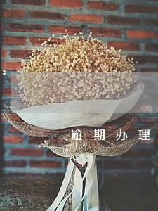 逾期办理不动产权证书 逾期办理不动产权证书