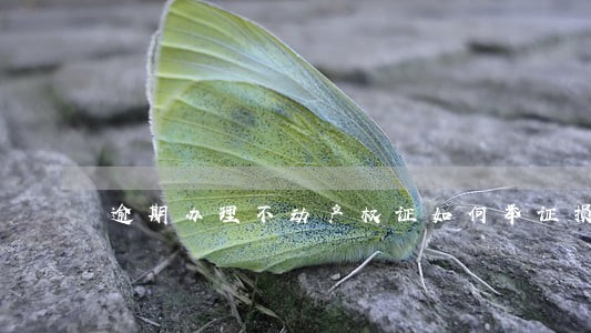 逾期办理不动产权证如何举证损失 逾期办理不动产权证如何举证损失