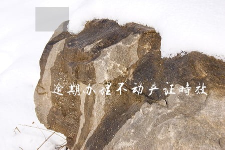 逾期办理不动产证时效 逾期办理不动产证时效