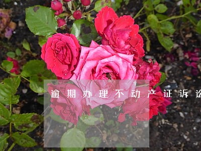 逾期办理不动产证诉讼标的怎么写 逾期办理不动产证诉讼标的怎么写