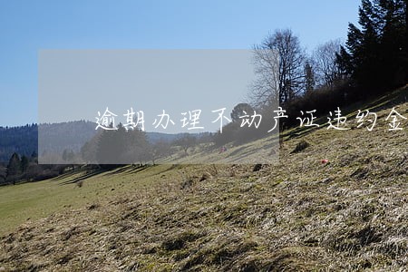 逾期办理不动产证违约金太低 逾期办理不动产证违约金太低