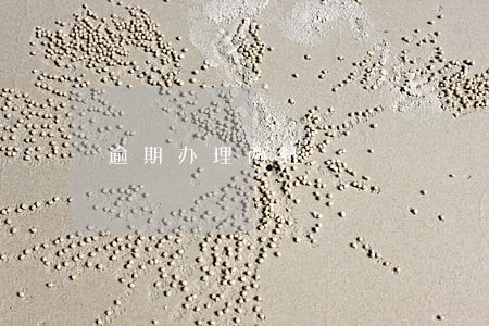 逾期办理两证 逾期办理两证