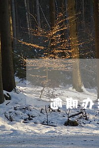 逾期办理两证违约责任 逾期办理两证违约责任