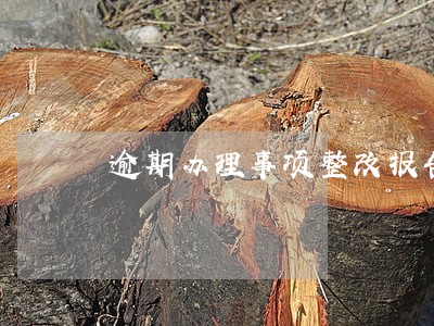 逾期办理事项整改报告 逾期办理事项整改报告