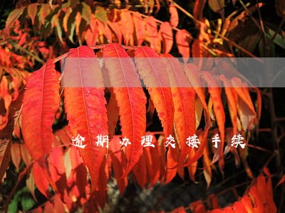 逾期办理交接手续 逾期办理交接手续