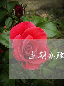 逾期办理产权登记的约定 逾期办理产权登记的约定