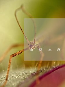 逾期办理产权登记的违约金 逾期办理产权登记的违约金
