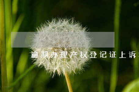 逾期办理产权登记证上诉状 逾期办理产权登记证上诉状