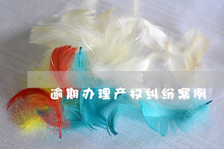 逾期办理产权纠纷案例 逾期办理产权纠纷案例