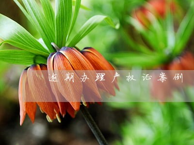 逾期办理产权证案例 逾期办理产权证案例