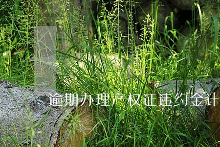 逾期办理产权证违约金计算标准 逾期办理产权证违约金计算标准