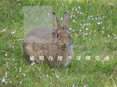 逾期办理产证催告函 逾期办理产证催告函