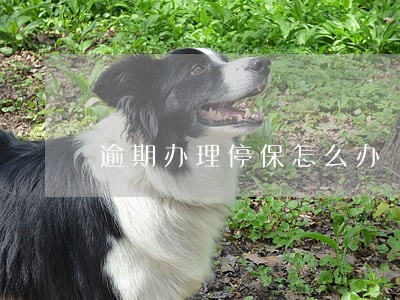 逾期办理停保怎么办 逾期办理停保怎么办