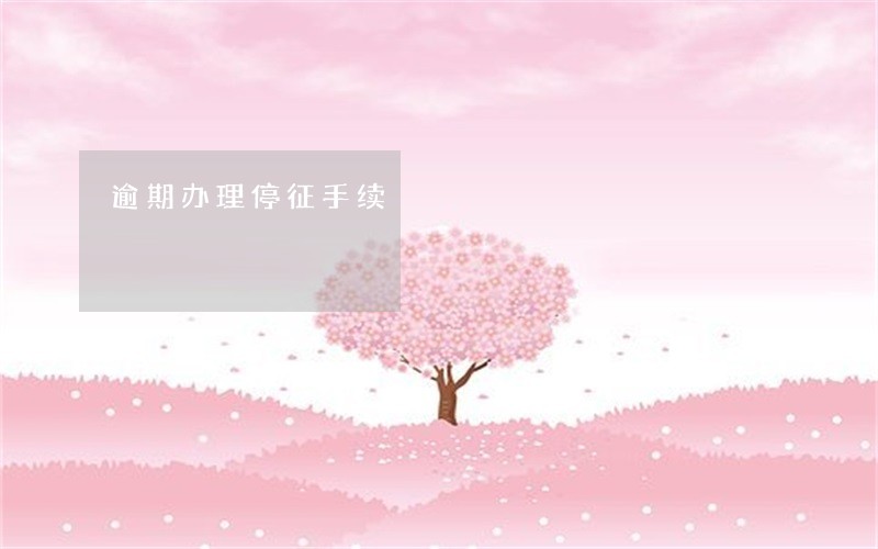 逾期办理停征手续 逾期办理停征手续