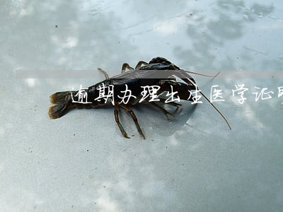 逾期办理出生医学证明 逾期办理出生医学证明