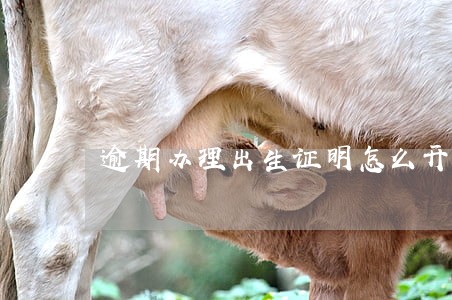 逾期办理出生证明怎么开 逾期办理出生证明怎么开