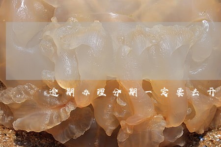 逾期办理分期一定要去开卡行吗 逾期办理分期一定要去开卡行吗