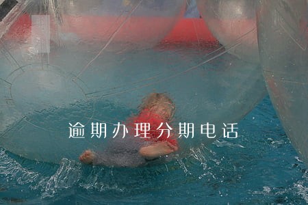 逾期办理分期电话
