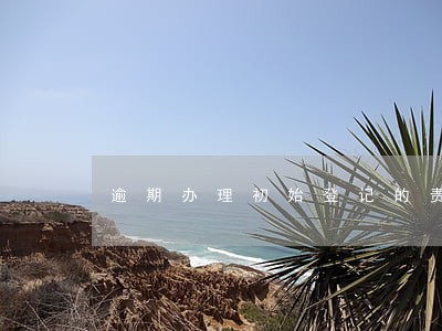 逾期办理初始登记的责任 逾期办理初始登记的责任