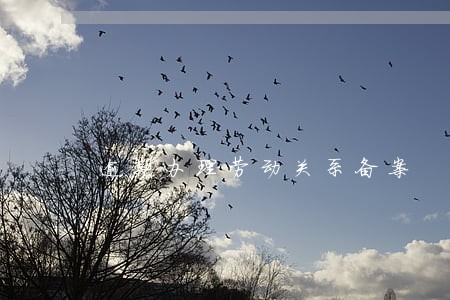 逾期办理劳动关系备案