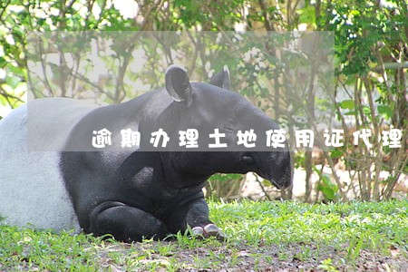 逾期办理土地使用证代理词 逾期办理土地使用证代理词