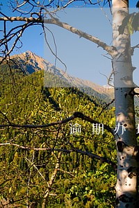 逾期办理土地证案例 逾期办理土地证案例
