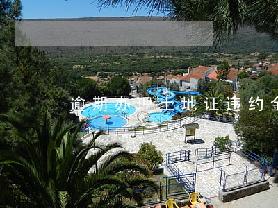 逾期办理土地证违约金 逾期办理土地证违约金
