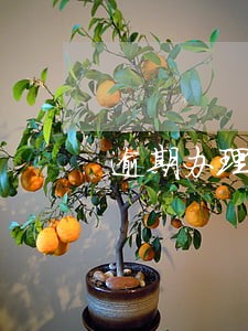 逾期办理失业保险理由 逾期办理失业保险理由