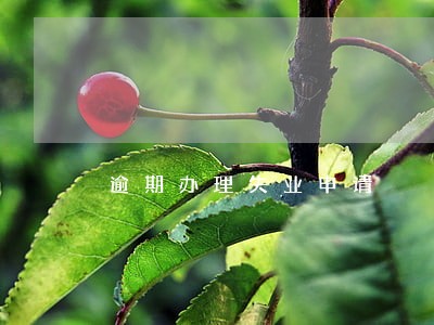 逾期办理失业申请
