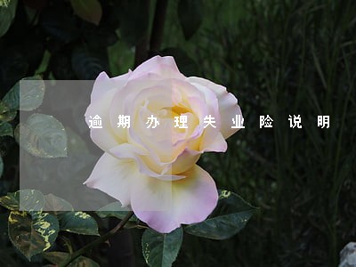 逾期办理失业险说明