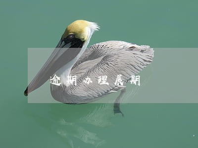 逾期办理展期 逾期办理展期