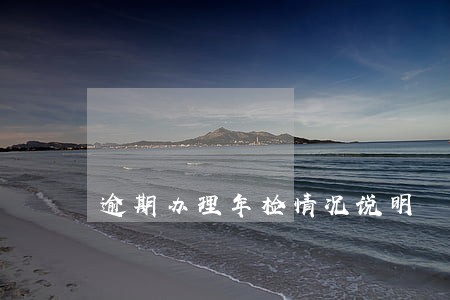 逾期办理年检情况说明 逾期办理年检情况说明