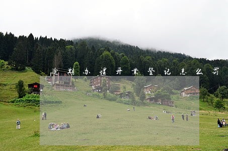 逾期办理开业登记怎么罚款 逾期办理开业登记怎么罚款