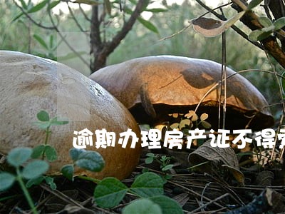 逾期办理房产证不得索赔 逾期办理房产证不得索赔