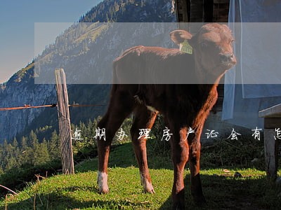 逾期办理房产证会有怎样的后果 逾期办理房产证会有怎样的后果