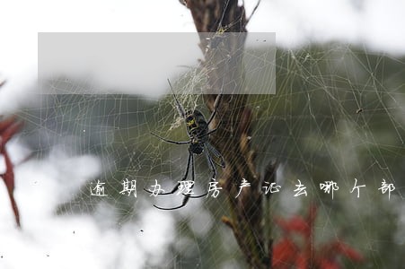 逾期办理房产证去哪个部门询问 逾期办理房产证去哪个部门询问