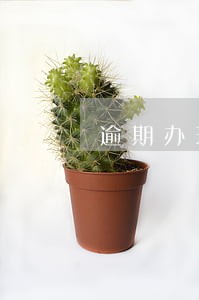 逾期办理房产证可以主张违约金吗 逾期办理房产证可以主张违约金吗