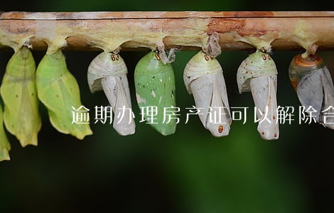 逾期办理房产证可以解除合同吗 逾期办理房产证可以解除合同吗