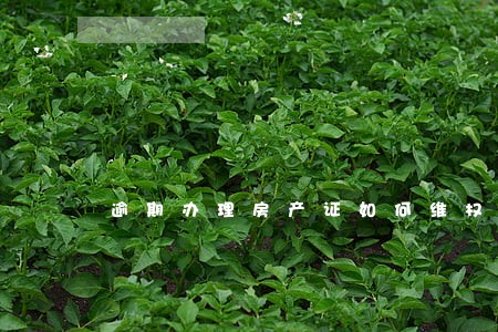 逾期办理房产证如何维权 逾期办理房产证如何维权