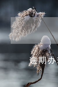 逾期办理房产证如何证明诉讼中断 逾期办理房产证如何证明诉讼中断
