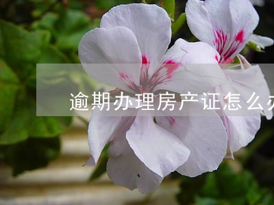 逾期办理房产证怎么办 逾期办理房产证怎么办