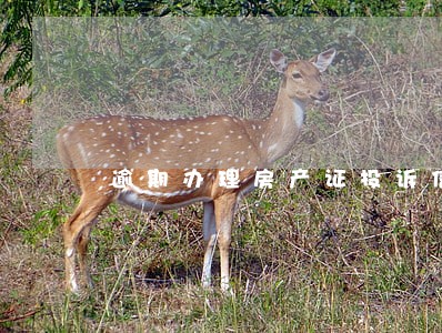 逾期办理房产证投诉信 逾期办理房产证投诉信